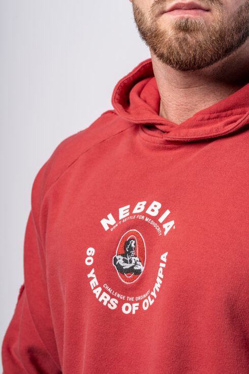 Washed Hoodie HERITAGE 793 - Image 2